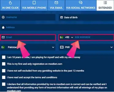 Email and Phone Number