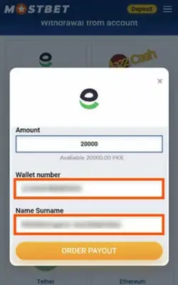 Complete the Payment Form