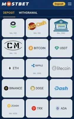 Choose a Payment Method